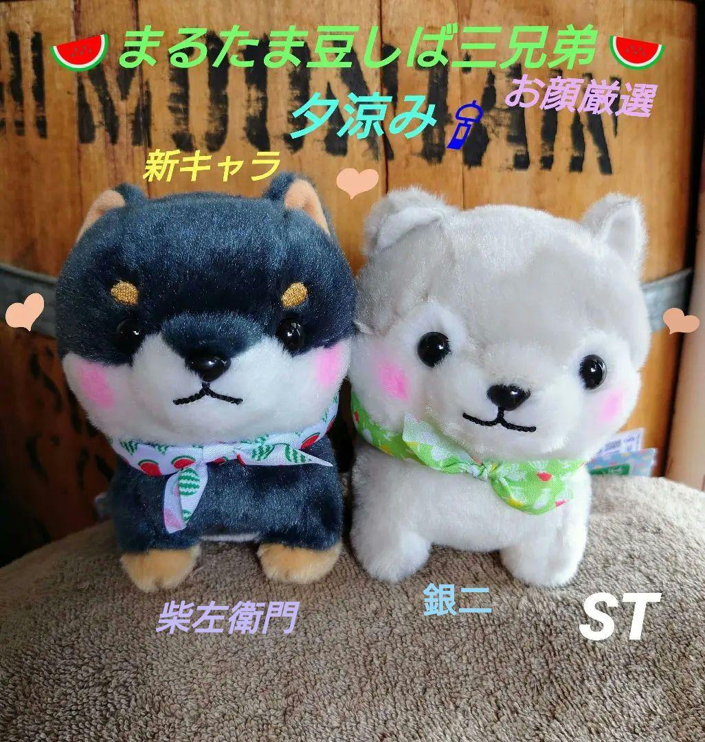 まるたま豆しば三兄弟【新作・新キャラ含】STセット まるたま豆しば三兄弟ST 豆三郎/Marutama MAMESHIBA SANKYOUDAI ST